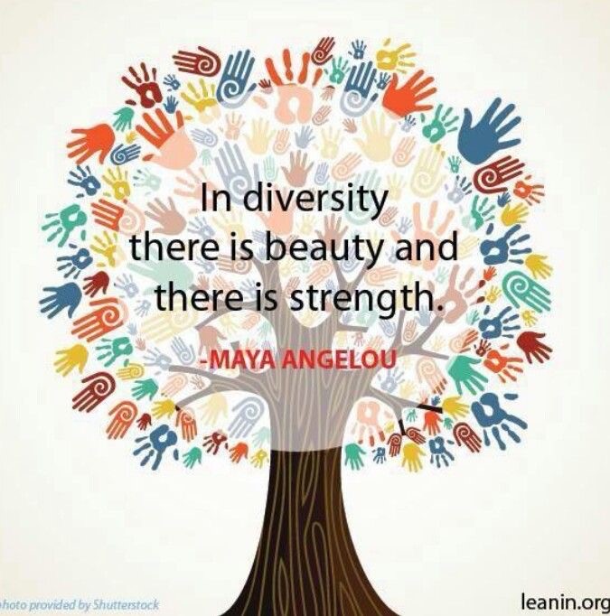 Diversity 2
