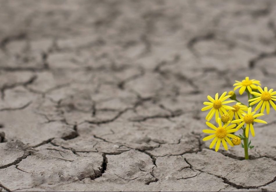 Hope as inspired by #WomenEd
