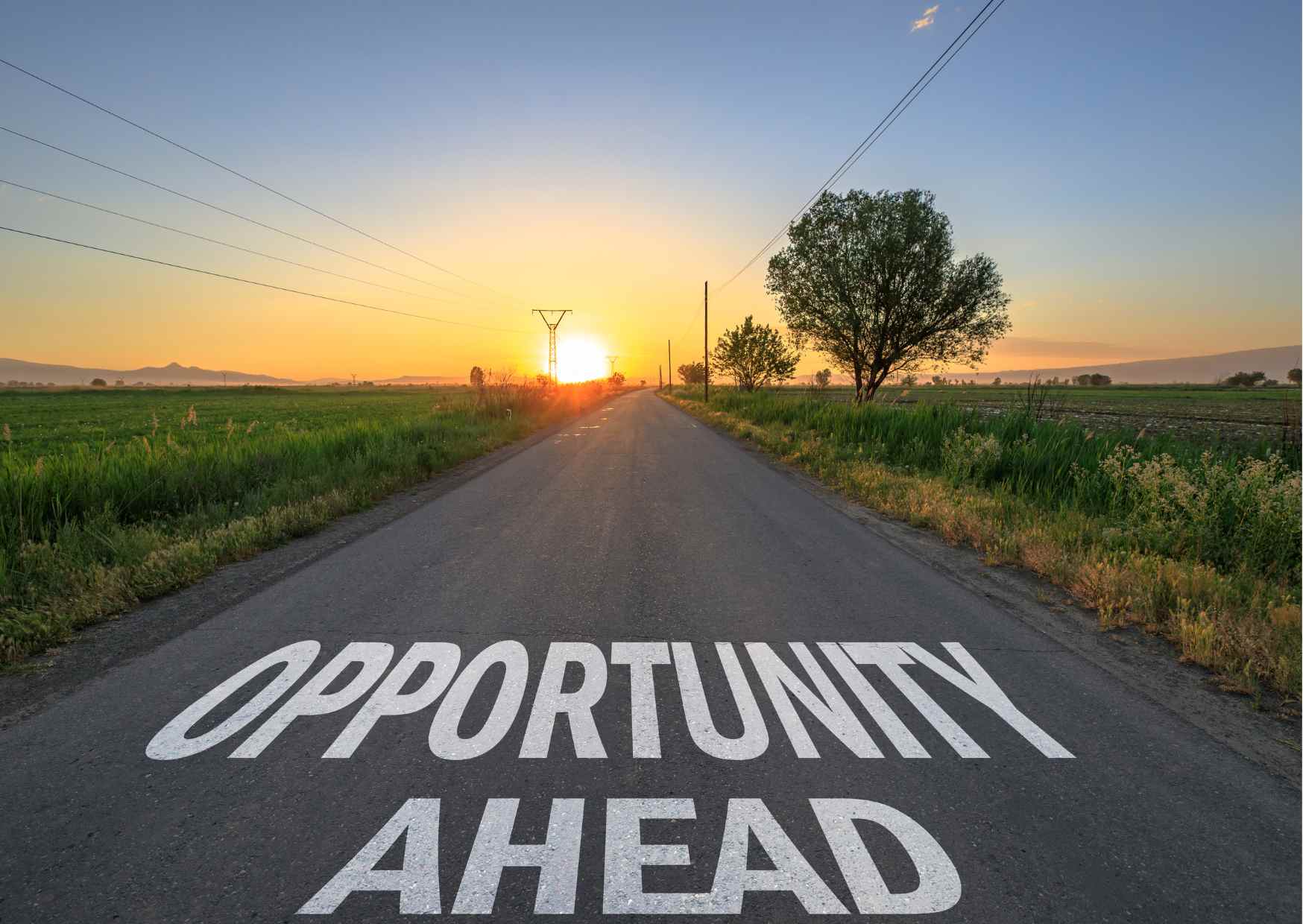 New Structure, New Opportunity to Lead